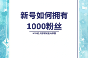 1元涨1000粉丝网站b站的简单介绍