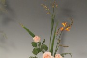 学习通插花花道的答案（2021花道插花技艺第四章答案）