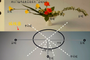 学习通插花答案（插花期末考试答案2021）