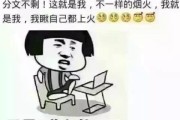 快手一块钱1000赞(快手1元10000个赞)