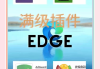 刷网课浏览器插件(可以刷网课的浏览器)