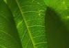 网课刷完了不显示绿色标志(网课刷完了不显示绿色标志怎么办)