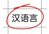 汉语学习一点通（汉语点读软件）