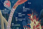 海洋生物学习通答案（海洋生物学期末试卷）
