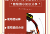 葡萄酒文化学习通答案（葡萄酒文化课后感）