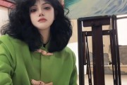 网红助手(4399盒子助手)