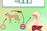 动物寄生虫病防治学习通答案（动物寄生虫病的危害与防治）