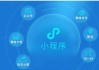 微信小程序刷票在线(微信小程序刷票在线刷)
