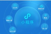 微信小程序刷票在线(微信小程序刷票在线刷)