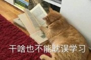 学习通微表情4.4（学微表情有什么作用）
