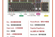 关于电脑学习通怎么看课程的信息
