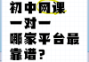 关于刷网课比较靠谱的网站的信息