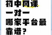 关于刷网课比较靠谱的网站的信息