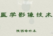 拜课网必刷题答案(拜课网必刷题答案高一)