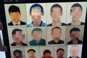 刷访客软件网站(刷访客的软件还有哪个可以用)