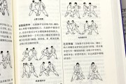 12式太极拳学习通答案（太极拳12式教学视频分解动作）