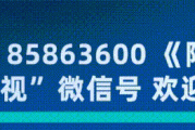 微信文章留言点赞神器的简单介绍