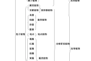 植物知到生命学习通答案（知到植物生物学答案）
