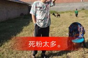 快手死粉超低价网站(快手死粉超低价网站有哪些)