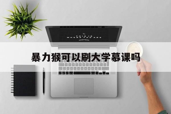 暴力猴可以刷大学慕课吗(用暴力猴刷课能被发现吗?)